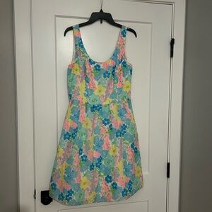 Lilly Pulitzer Multicolor Dress